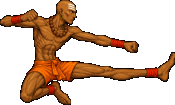 DHAL jumpkick