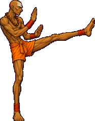 DHAL kick_2