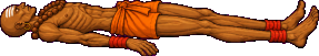 DHAL ko