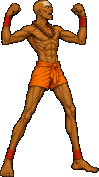 DHAL victory_2