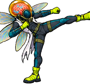 FLYBRAIN kick_2