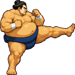 HONDO kick_2