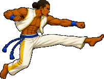 MAKO jumpkick